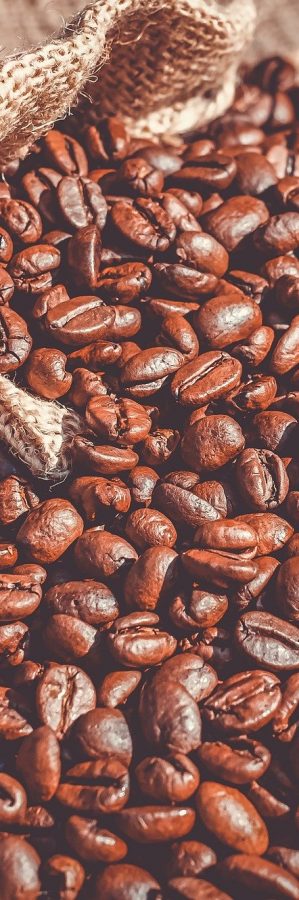 Confezionamento conto terzi capsule caffè Le Naiadi Confezionamento conto terzi capsule caffè